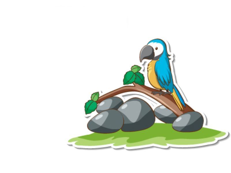 Eatable Birds