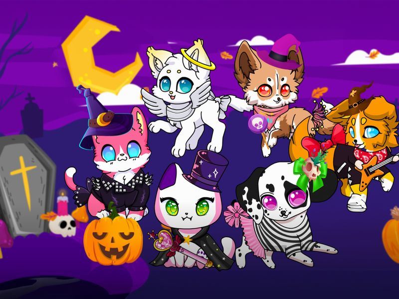 Halloween Cute Pets