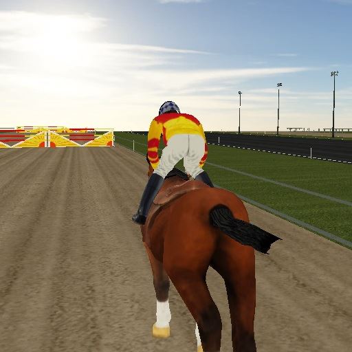 Horse Ride Racing 3D