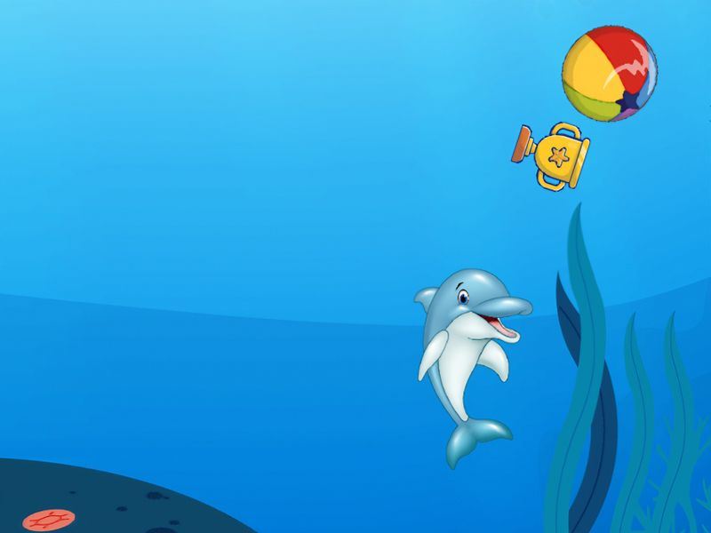 Dolphin Show